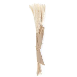 Bukiet Suszek Lanati Naturalnych 75 Cm