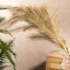 Galazka Canne Sztuczna Bezowa 100 Cm