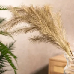 Galazka Canne Sztuczna Bezowa 100 Cm