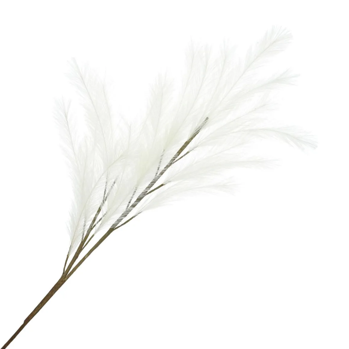 Galazka Canne Sztuczna 100 Cm