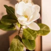 Kwiat Sztuczny Hiya Magnolia 71 Cm