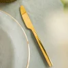 Noz Aperi 22 Cm