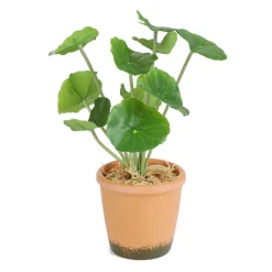 Roslina Sztuczna Semela Pelargonia 25 Cm