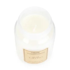 Swieca Zapachowa Envy Aloe & Sea Salt 185 G