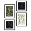Zestaw Obrazow Knor Paprocie 30X30 Cm+30X40 Cm