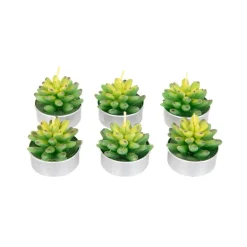 Zestaw Swiec Jade 6 Szt. Sukulenty 166 G